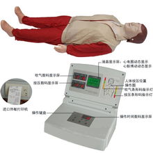 博友品牌供應2010版心肺復蘇指南 電腦心肺復蘇模擬人